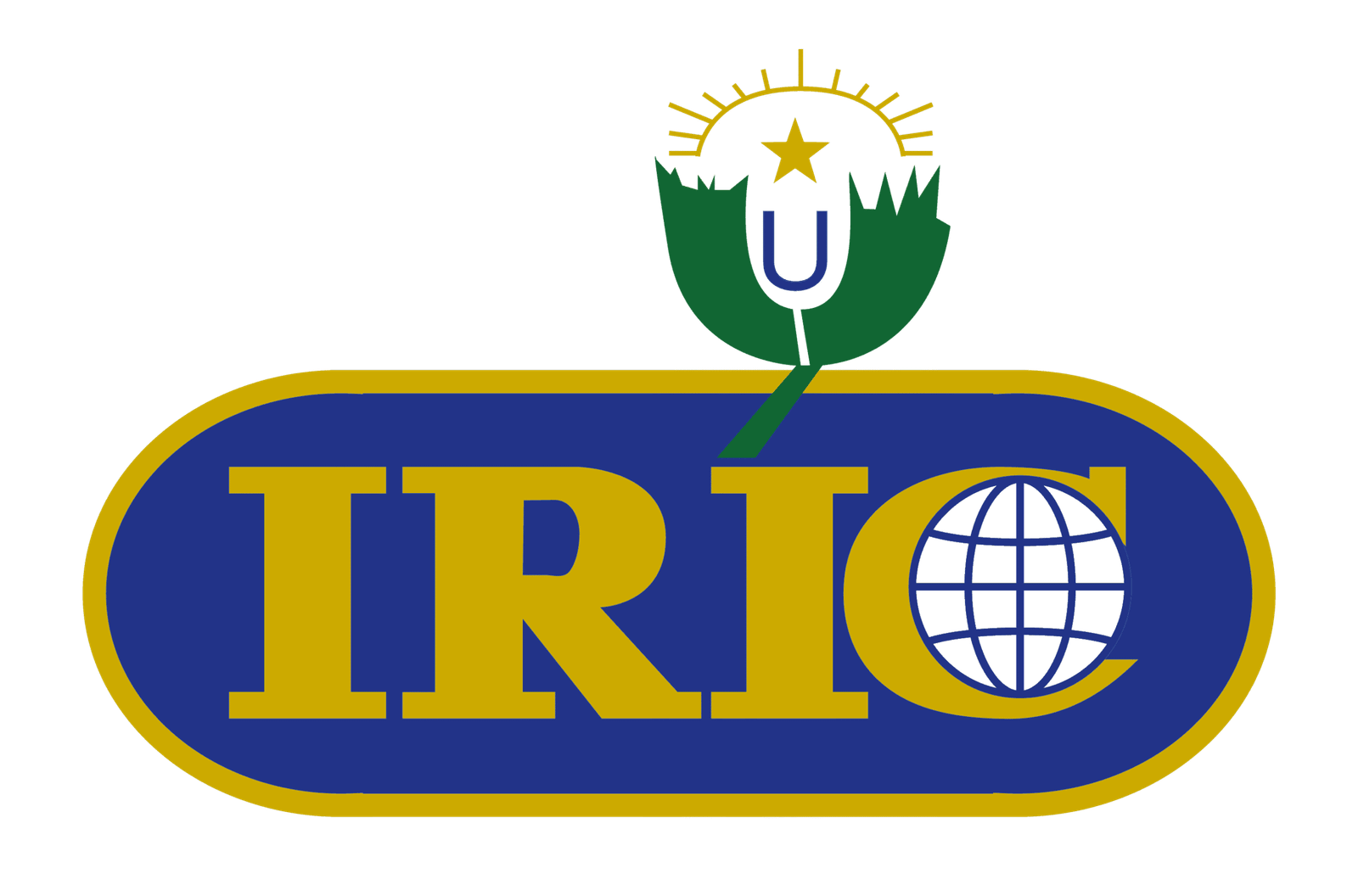 Logo de l’Institut des Relations Internationales du Cameroun (IRIC)